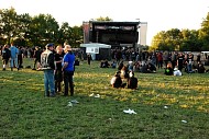 AreaDFO0983.jpg